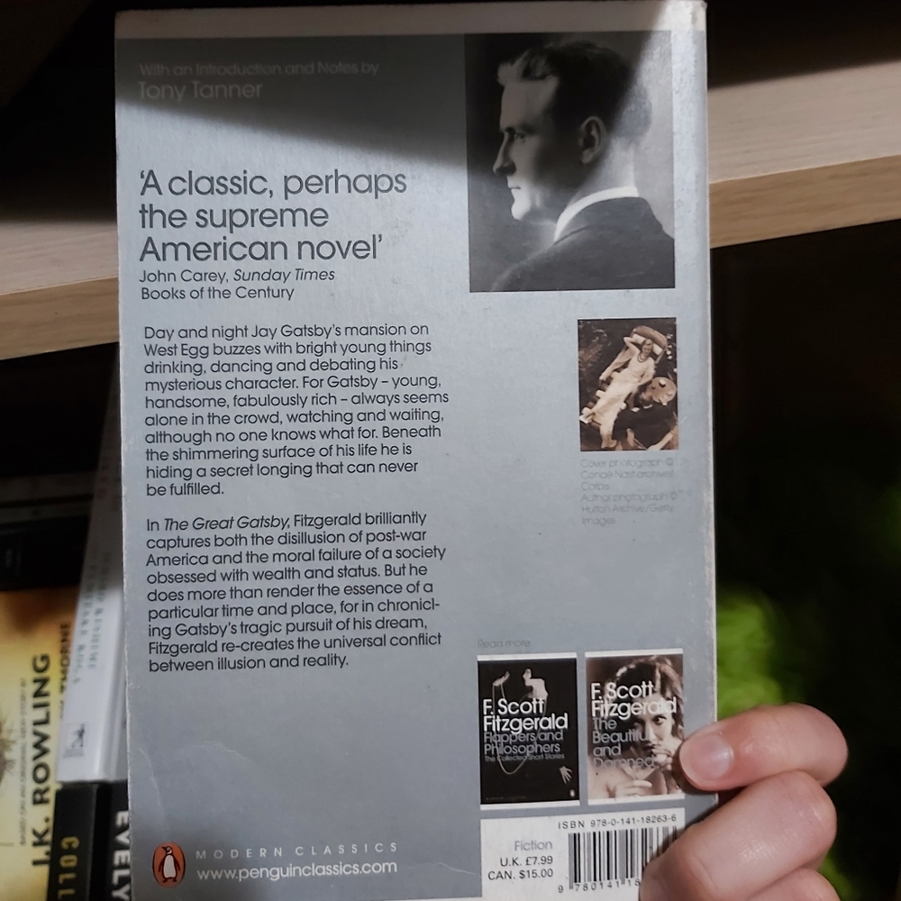 🤯2/$15 The Great Gatsby by F Scott Fitzgerald paperback book - Picture 2 of 2